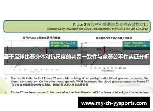 基于足球比赛身体对抗尺度的判罚一致性与竞赛公平性实证分析 基于足球比赛身体对抗尺度的判罚一致性与竞赛公平性实证分析