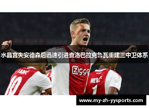 水晶宫失安德森后迅速引进查洛巴拉克鲁瓦重建三中卫体系